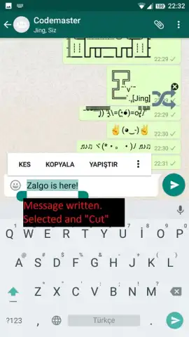 Upside Down Chat+ скриншот 13