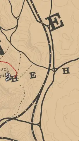 RDR2: Companion скриншот 2