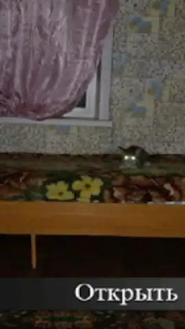 Пять Ночей С Ёжиком скриншот 5