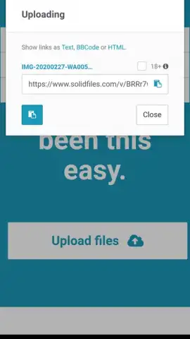 Solidfiles скриншот 2