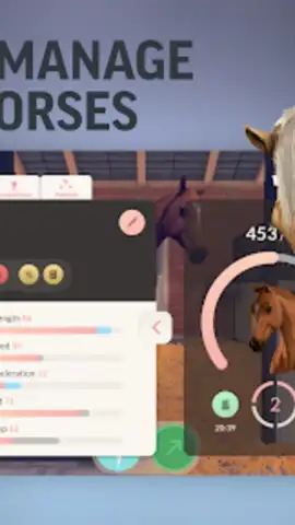 Equestrian the Game скриншот 3
