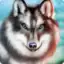 Wolf: The Evolution Online RPG