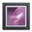 Vertical Gallery