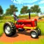 Farm House Simulator